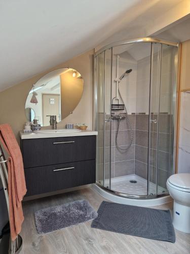 une salle de bain avec une douche, un lavabo et des toilettes dans l'établissement Les Cormiers, à Cangey