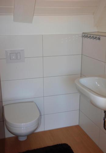 a bathroom with a toilet and a sink at Goldener Anker Pottenstein Urlaub für die ganze Familie in Pottenstein