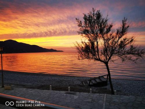 Φυσικό τοπίο κοντά σε αυτή η παραθεριστική κατοικία