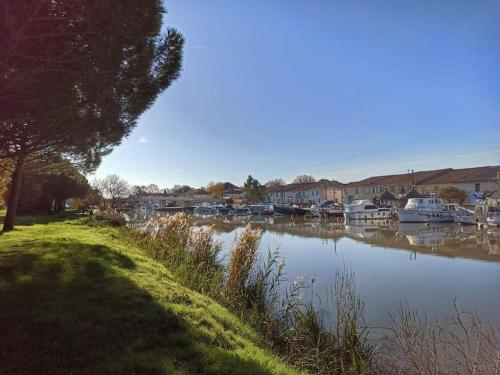 a body of water with boats parked in a marina at LE TOLOSANA - Appartement 4 personnes - Centre WiFi Cosy in Saint-Gilles