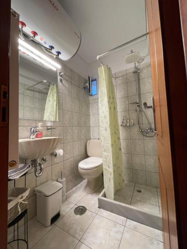 La salle de bains est pourvue de toilettes, d'une douche et d'un lavabo. dans l'établissement Flo's Apartments, à Mesolongion