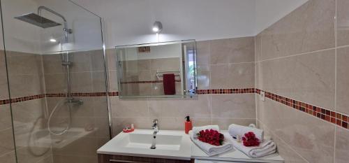 een badkamer met een wastafel en een douche bij Anse des rochers - Ti Kaz MiLouMa in Saint-François