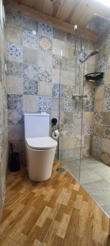 La salle de bains est pourvue de toilettes et d'une douche en verre. dans l'établissement Beautiful house in stunning nature, 22 minutes from beaches, 5 minutes to lake, air condition cool and heat, and very fast Internet in all rooms, dishwasher, washing machine and induction cooking, à Silves