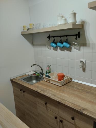 Η κουζίνα ή μικρή κουζίνα στο Lodge Morava 2