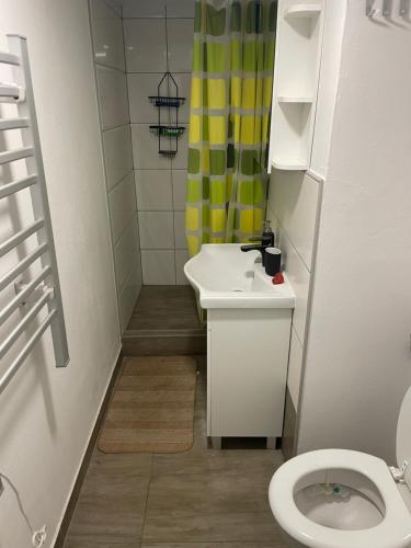 a small bathroom with a sink and a toilet at Brasilia apartment in Ljubljana