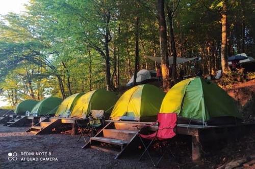 a row of tents lined up in a forest at Kamp çadır tesisi in Buyukcekmece