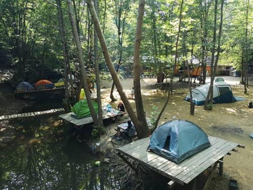a group of tents and a picnic table in the woods at Kamp çadır tesisi in Buyukcekmece