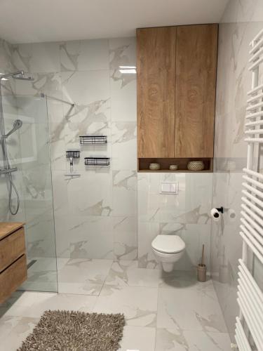 La salle de bains est pourvue de toilettes et d'une douche en verre. dans l'établissement Tadea Apartment Zagreb, à Zagreb