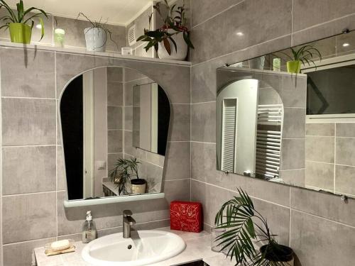 ein Badezimmer mit einem Waschbecken, einem Spiegel und Pflanzen in der Unterkunft Le Passage du Faubourg, agréable T3 en duplex de 120m2 in Saint-Léonard-de-Noblat