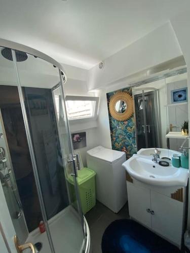 La petite salle de bains est pourvue d'une douche et d'un lavabo. dans l'établissement Appartement Jardin du Palais- Relaxation Centrale, au Palais