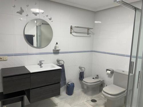 ein Badezimmer mit Toilette, Waschbecken und Spiegel in der Unterkunft El sitio de mi recreo Ávila in Avila
