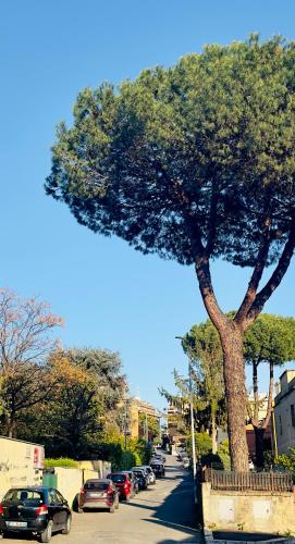 Gemelli-San Pietro-Trastevere-casa con posto auto photo 59