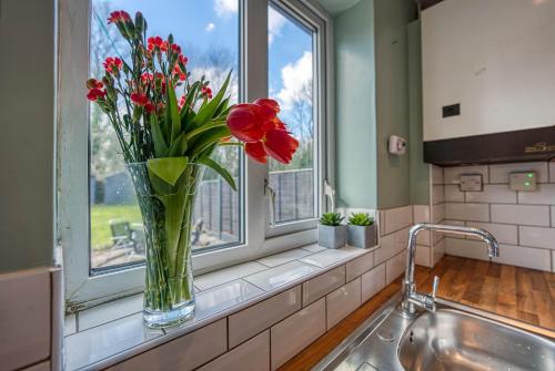 a vase filled with red flowers sitting on a window sill at CAPRI 13 SA - Contemporary 2 bedroom house in Loughborough with free parking, Close to Loughborough University & M1 Motorway in Loughborough