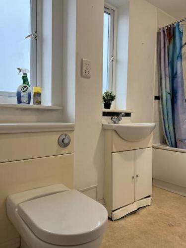 a bathroom with a white toilet and a sink at New build 2 bed flat, London in London