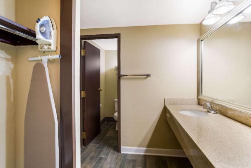 a bathroom with a sink and a mirror at Quality Suites Milwaukee Airport in Milwaukee