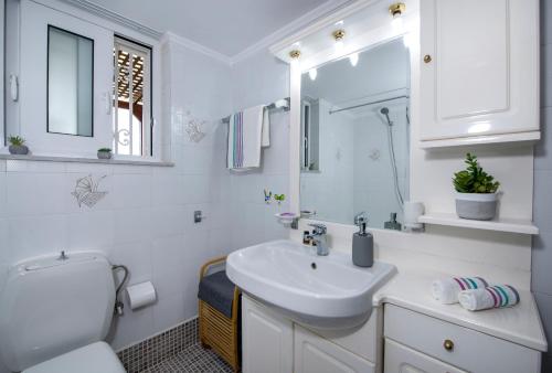 Un baño con lavabo, inodoro y espejo. en Marakas Winery Family House, en Xamoudhokhórion