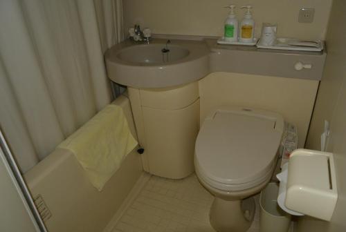 網走市にある網走ロイヤルホテルの小さなバスルーム(トイレ、シンク付)
