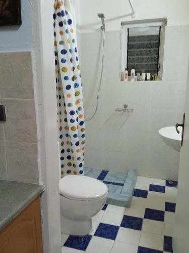 a bathroom with a toilet and a shower curtain at Nice Studio Flat close to Saranda Albania in Nivicë