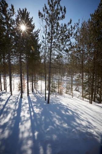 Horseshoe Resort Chalet – Photos 5
