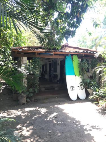 Punta Roca Surf House