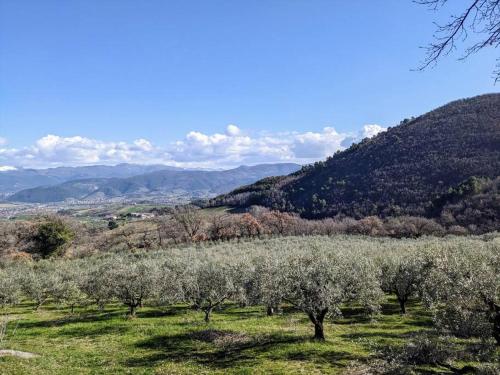 Bild i bildgalleri på Villa San Severo i Spoleto