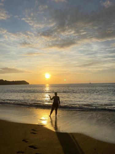 a man walking on the beach at sunset at Ceiba lodge in Drake