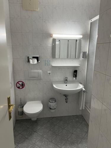 a small bathroom with a toilet and a sink at Hotel Thannhof in Schweitenkirchen