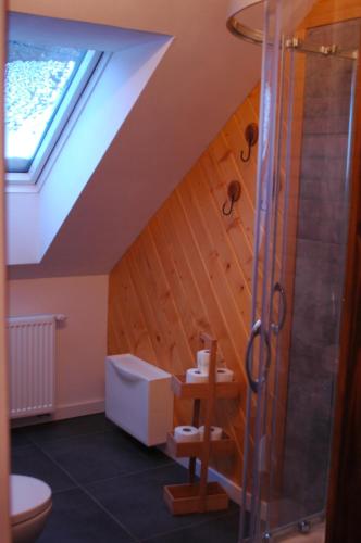 a bathroom with a skylight and a shower at Domek nad Solinką in Żubracze