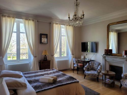 a bedroom with a bed and a fireplace and a mirror at Chambres d'Hôtes de luxe Côté Parc-Côté Jardin avec parking privé gratuit in Nevers
