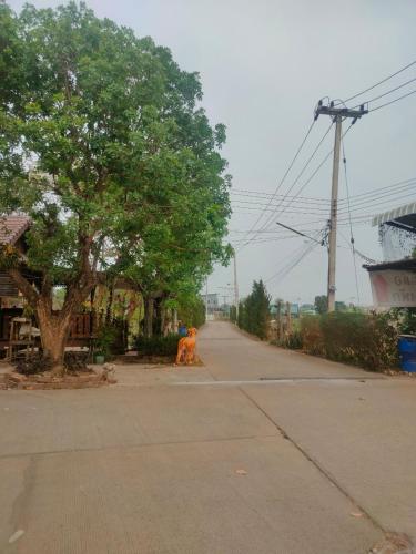 a dog is sitting on the side of a street at Chatchawan Resort in Ban Tha Sao