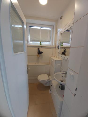 een kleine badkamer met een toilet en een wastafel bij Am Bahnhof Ketzin in Ketzin