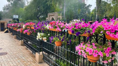 a bunch of flowers in pots on a fence at Heritage Luxury Suites All Suite Hotel in Lahore