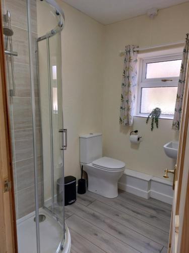 a bathroom with a shower and a toilet and a sink at The Barn - Cosy cottage with Countryside views in Ludchurch