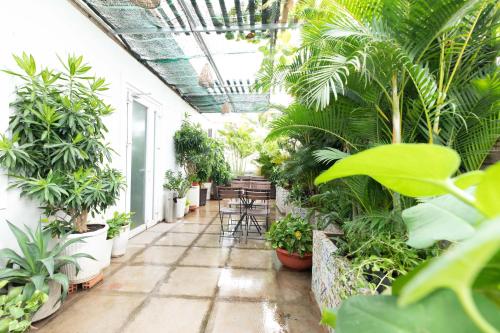 an indoor greenhouse with plants and tables and chairs at Airport Saigon Hotel - Gần ẩm thực đêm chợ Phạm Văn Hai in Ho Chi Minh City