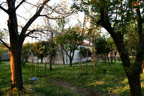 a group of trees with swings in the grass at Nicolaus Hidden Gem Villa in Shkodër