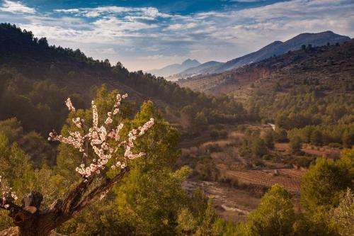 Gallery image of M A S L A P A U Country Hotel - Adults only in Lliber