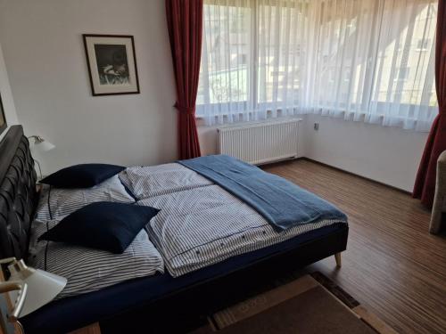 a bedroom with a bed with blue sheets and a window at Ubytování Pod Borovou in Malenovice