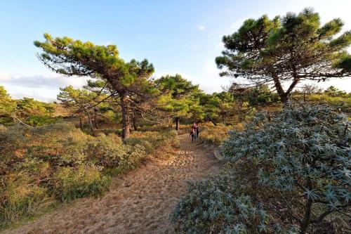 a person riding a bike down a dirt trail with trees at Hôtel Des Argousiers in Ambleteuse
