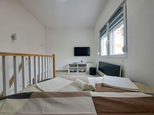 a bedroom with a large bed and a tv at Mini duplex apartman in Dušanovac (historical)