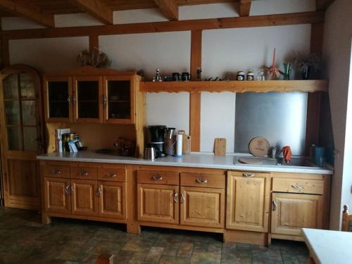 a kitchen with wooden cabinets and a counter top at Ferien auf dem Land in Horka