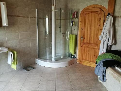 a bathroom with a shower and a wooden door at Ferien auf dem Land in Horka