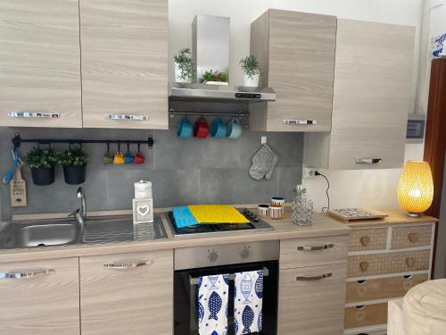 eine Küche mit einer Spüle und einer Arbeitsplatte in der Unterkunft villa martina apartament in Ischia