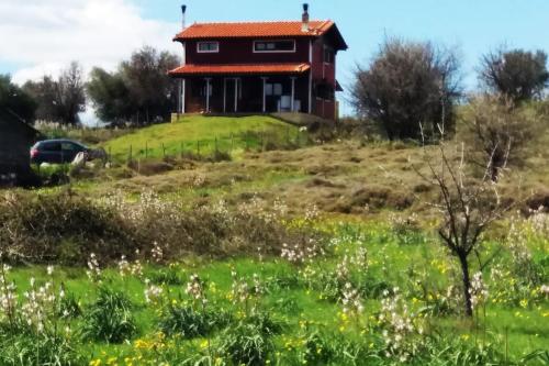 een huis op een heuvel met een veld bij Ξυλόσπιτο στη Στενή in Amfithéa