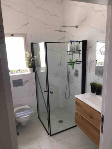 a bathroom with a glass shower and a toilet at מעיין על הנחל - נופש בקיבוץ in Hagoshrim