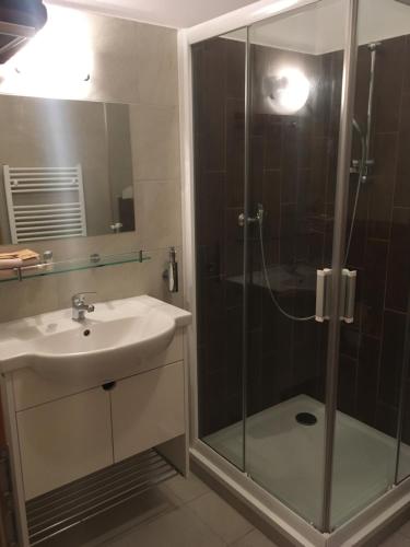 y baño con ducha acristalada y lavamanos. en Ubytování Pod Borovou en Malenovice