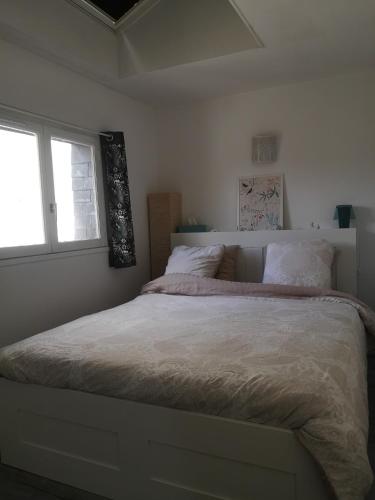 a bedroom with a large bed with a window at F2 en centre-ville Chevreuse in Chevreuse