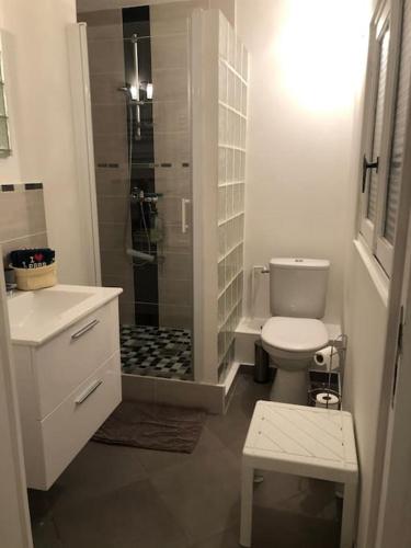 La salle de bains blanche est pourvue d'une douche et de toilettes. dans l'établissement F2 en centre-ville Chevreuse, à Chevreuse