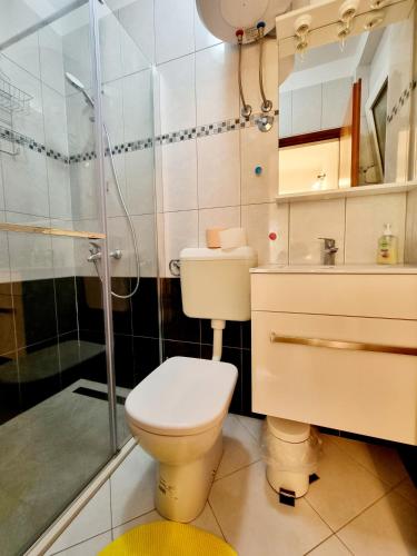 a bathroom with a toilet and a shower at ARA-ZAROK in Baška