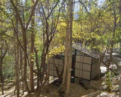 a house in the middle of the woods at Kalp with Forest View- Cloud Nine and a Half Hunza in Hunza