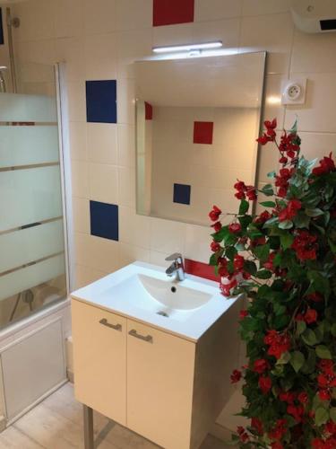 La salle de bains est pourvue d'un lavabo, d'un miroir et de fleurs rouges. dans l'établissement Marseille bleue, à Marseille